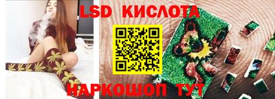гашик Донской