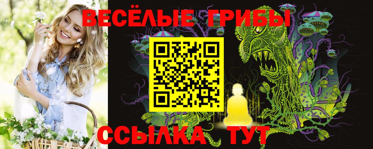 Псилоцибиновые грибы Psilocybe Октябрьский