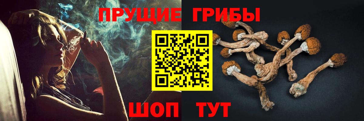 Октябрьский  купить наркотик  Вход с VPN  Псилоцибиновые грибы прущие грибы  Галлюциногенные грибы Magic Shrooms 
